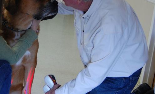 Center For Animal Healing 629 Wesley DrSuite 100, Virginia Beach Virginia 23452