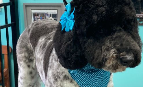 Blue Ribbon Pet Salon 1023 Kempsville Rd, Virginia Beach Virginia 23464