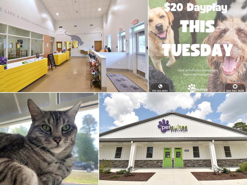 PetSuites Chesapeake