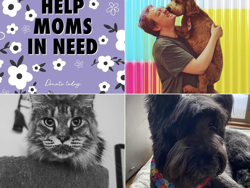 Creatures Great & Small Inc