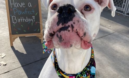 Canterbury Tails Pet Care Center