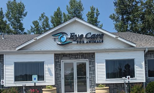 Eye Care for Animals - Pewaukee