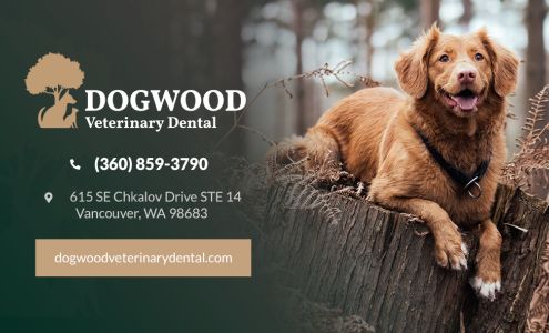 Dogwood Veterinary Dental