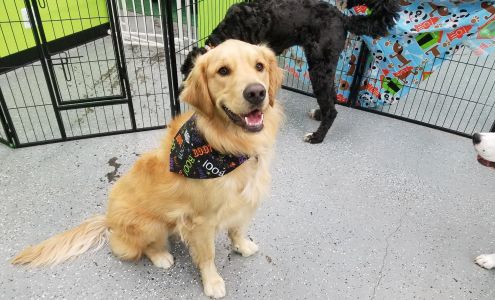 The DogHouse 6201 W Clearwater Ave, Kennewick Washington 99336