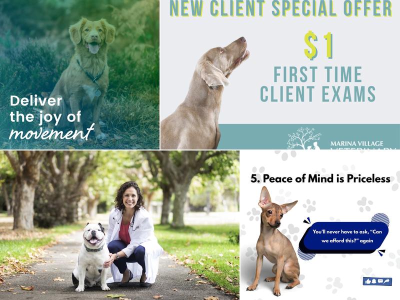 Marina Village Veterinary