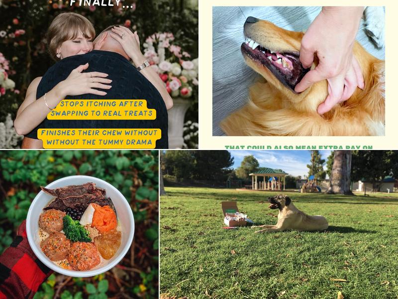 Real Dog Box 3625 Dalbergia St, San Diego