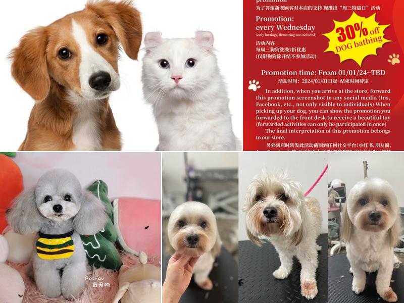 Paw Paw Pet Grooming