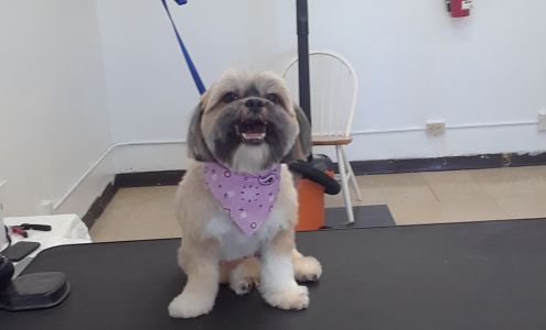 Furr Paradise Santa Ana,LLC 2733 N Grand Ave, Santa Ana California 92705