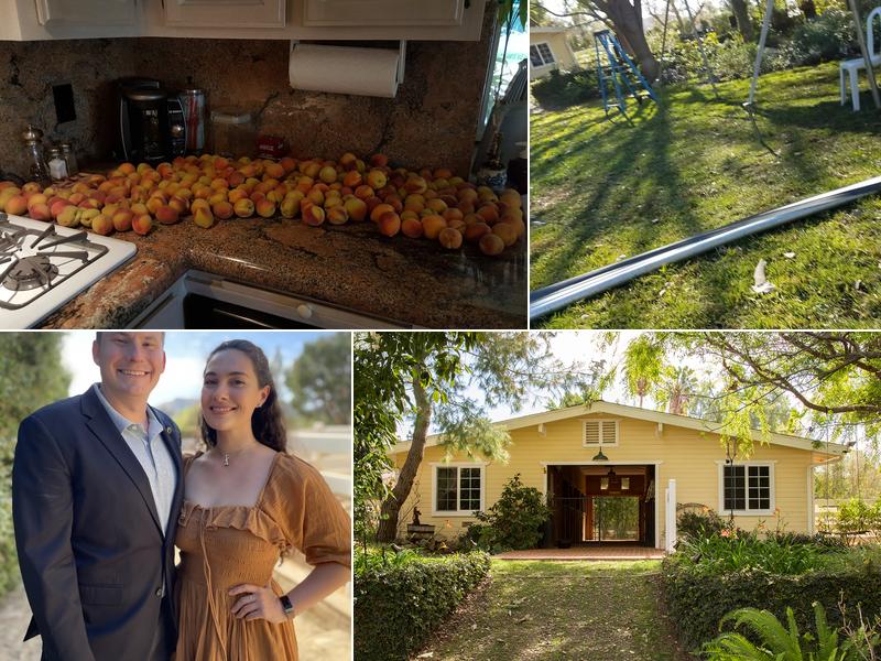 Bradley D Perdue Equine