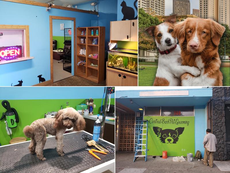 Central Bark Pet Grooming