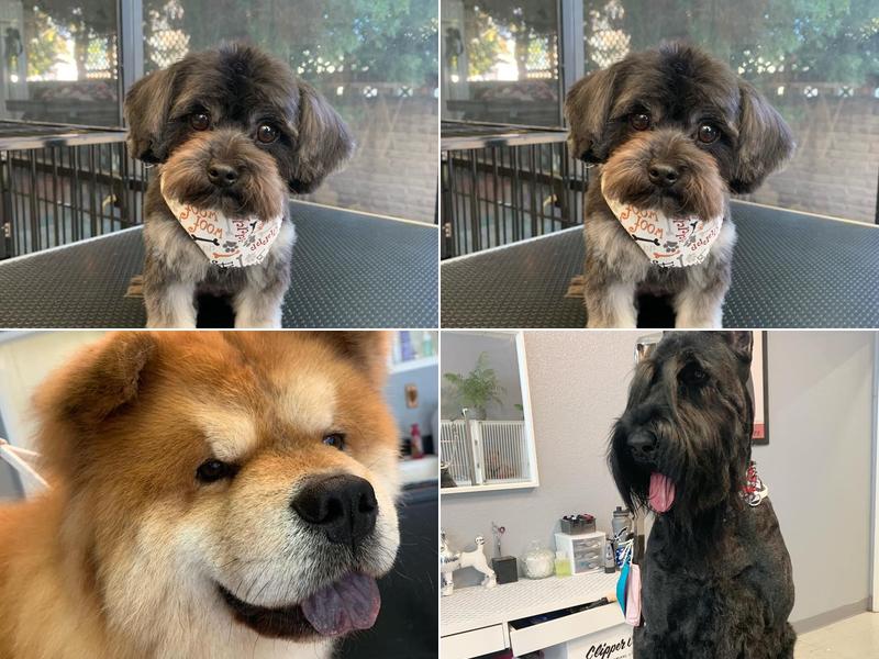 Simply Grooming by Rita