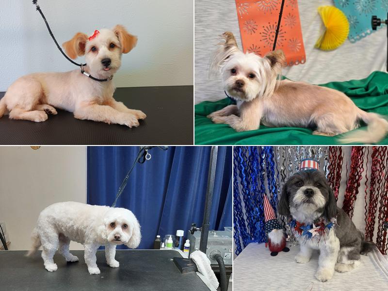 Furr Paradise Hemet, LLC