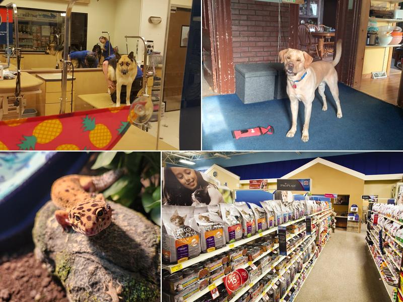 PetSmart