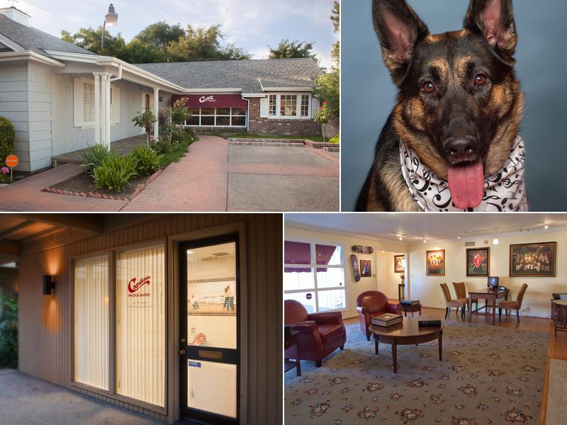 Caroline Photography