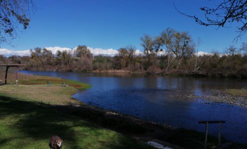 Riverside Pup Paradise - In-home boarding for small dogs