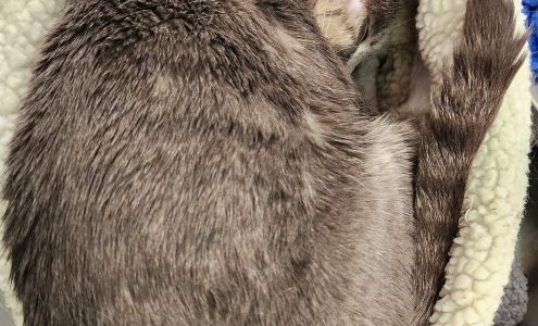 Michael Dahlman 7077 Redwood Blvd, Novato California 94945