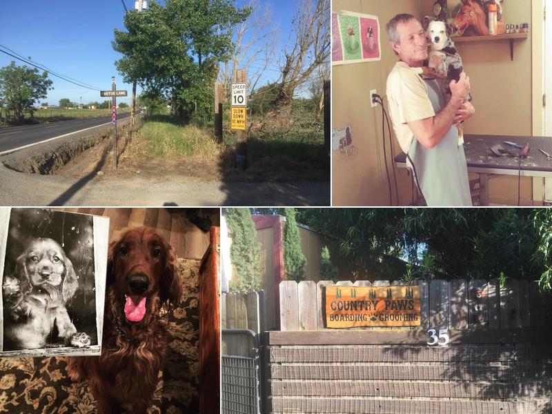 Country Paws Grooming & Boarding by Cinda & Michael