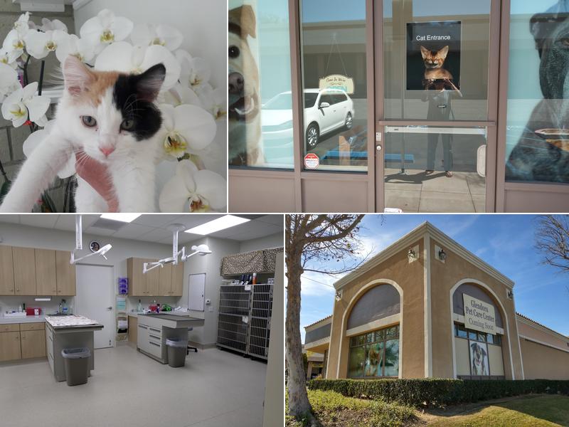 Glendora Pet Care Center