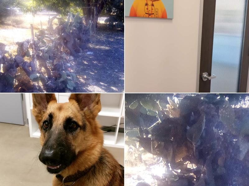 Veterinary Specialty Group of Glendora