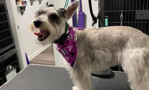 Animal Friends Pet Care