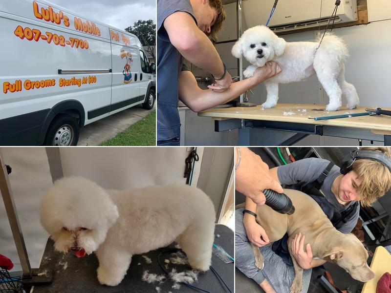 Lulu's Mobile Pet Spa LLC