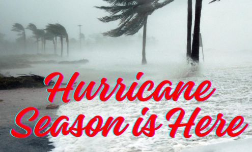 Hands to Paws 2017 W Main St, Leesburg Florida 34748