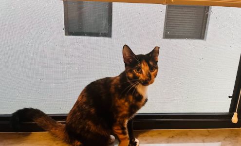 Humane Society Naples: von Arx Adoption Center