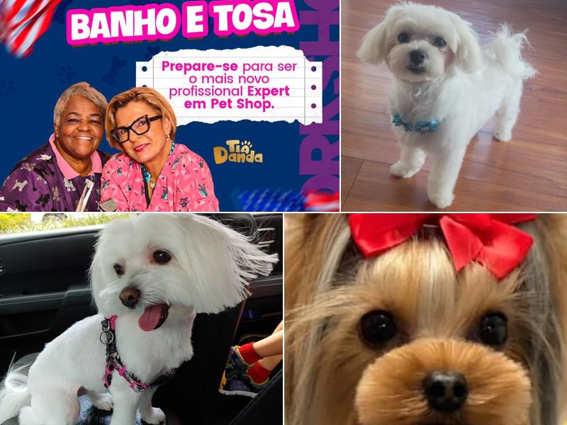 Precious Puppy Spa & Day Care