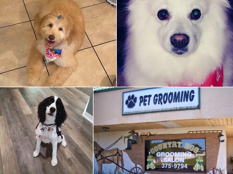 Country Dog Grooming Salon