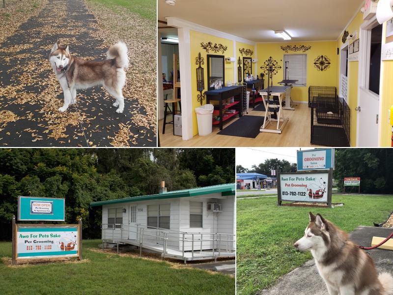 Awe For Pets Sake Pet Grooming
