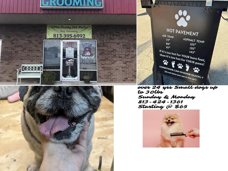 Sittin pretty pet parlor