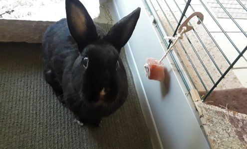 Don J Harris DVM 6380 South Dixie Hwy, Miami Florida 33143