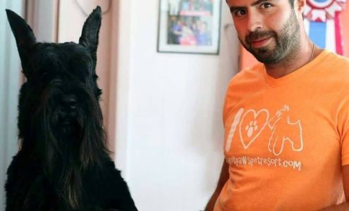 Hot Paws Pet Grooming, Spa & Resort. 1008 S 8th St, Fernandina Beach Florida 32034