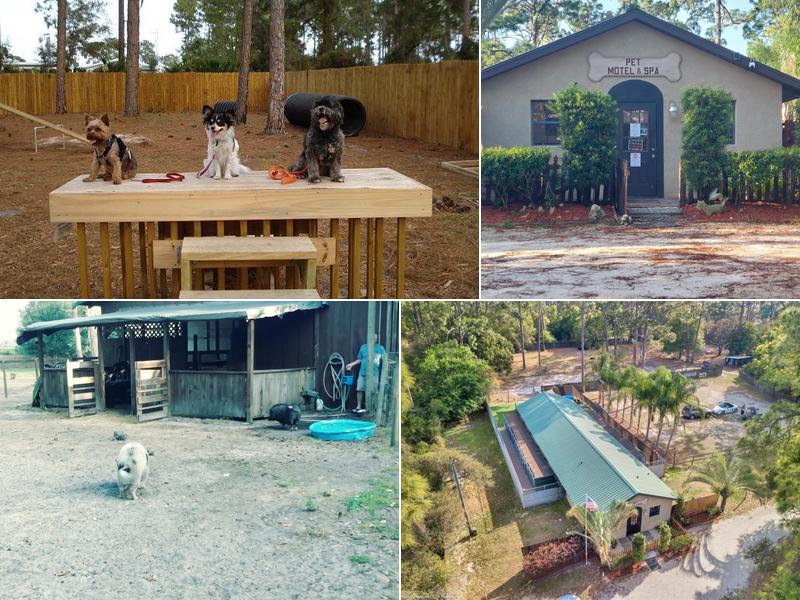 Bed & Biscuit Pet Resort