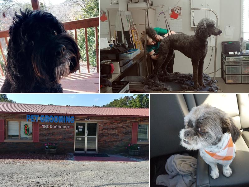 The Dog House Grooming Salon