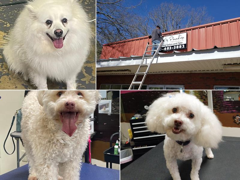 Pet's Paradise Grooming Salon and Spa