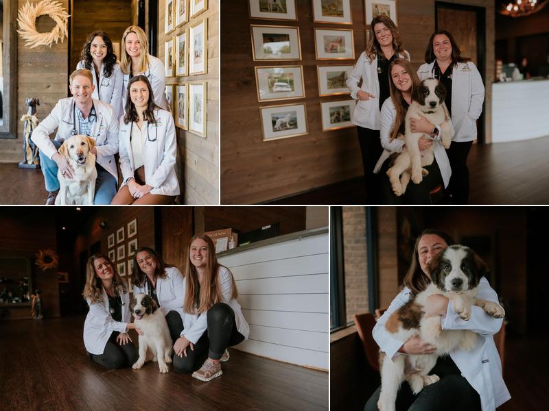 Good Dog Veterinary Care