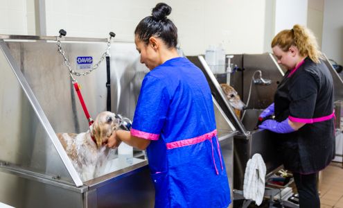 Bath and Bark Grooming