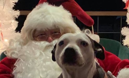 Best Friends Humane Society Poulan