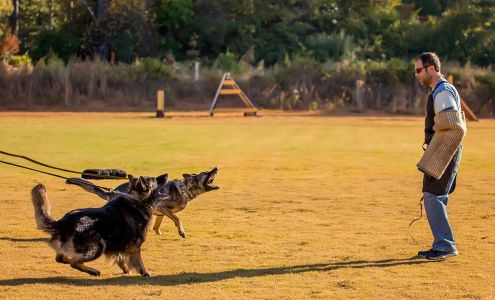 Ashley Hills Pet Center