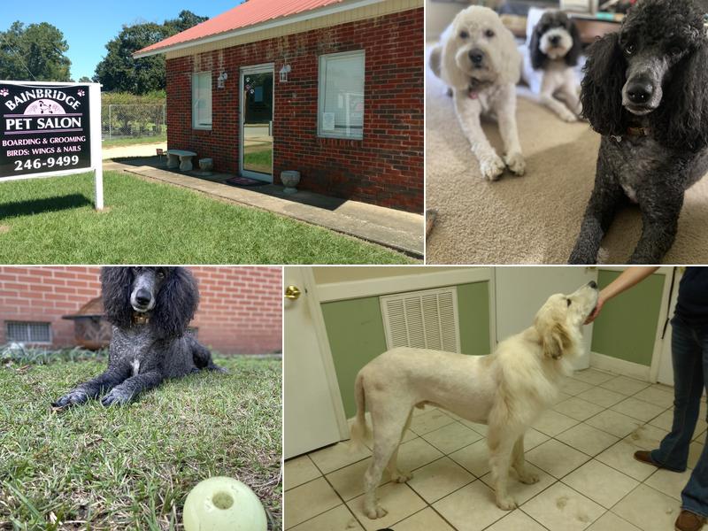 Bainbridge Pet Salon