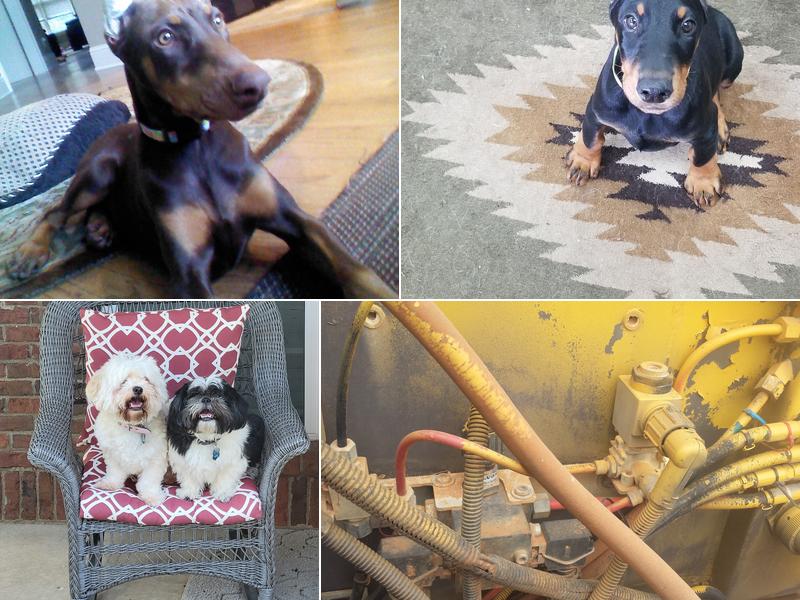 Grooming at Bay Creek