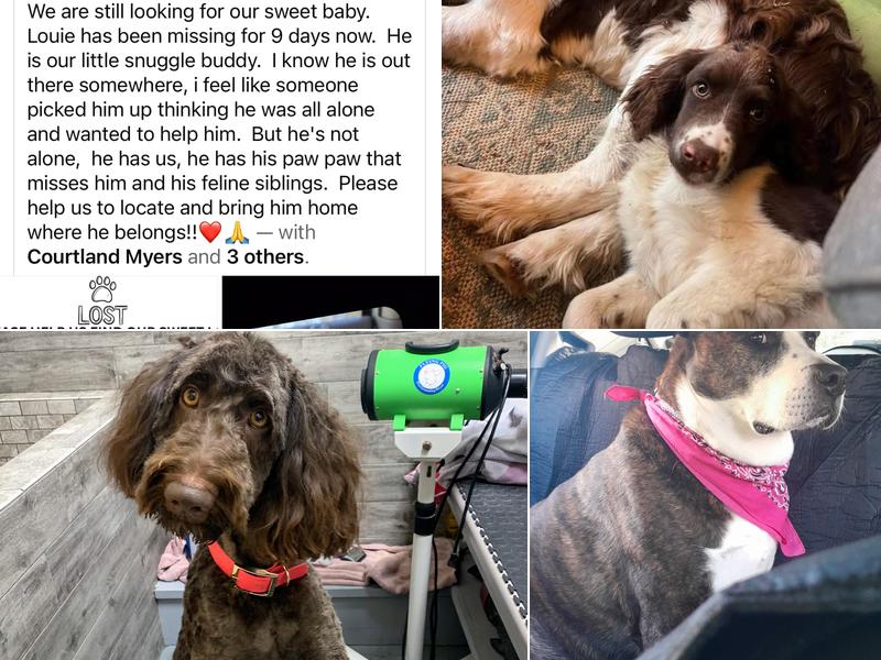 Happy Tails Pet Grooming