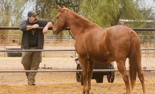 Healing Hearts Animal Rescue