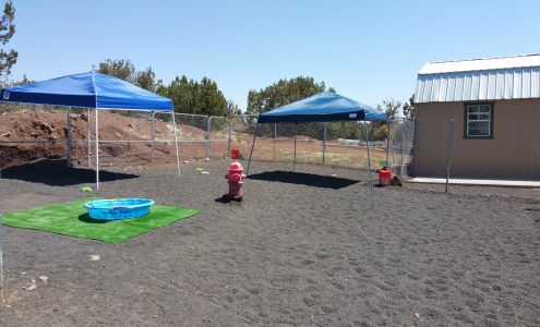 Triple L Ranch Dog Boarding Concho