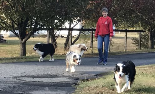 KEP Doggie Dude Ranch & Farm