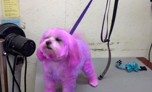 Rita's Grooming & Boarding