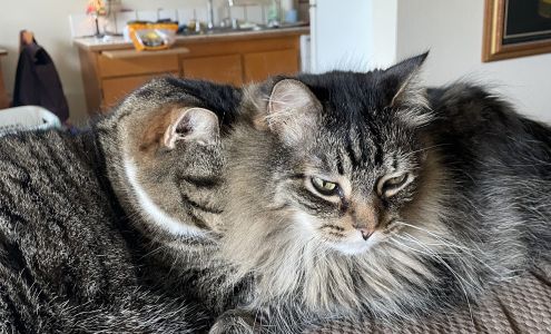 Woods Humane Society - North County