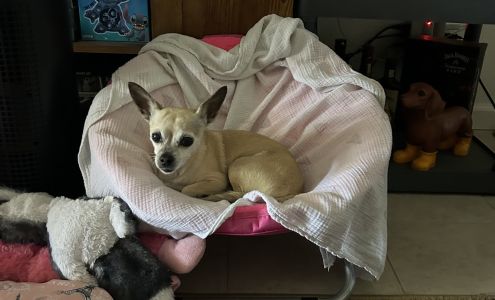 Bishop Veterinary Hospital