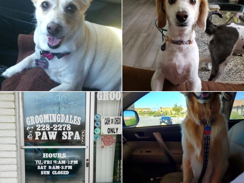 Groomingdales Paw Spa